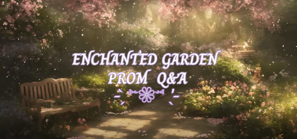 VIDEO Q&A: Prom 2024: All You Need to Know